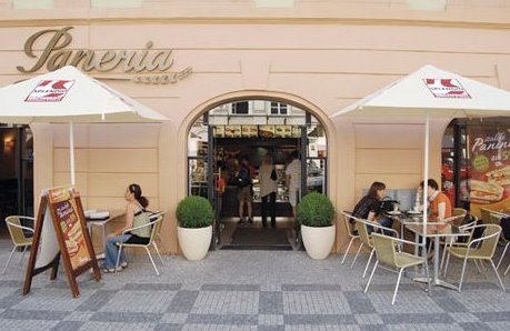 Paneria paneria.jpg